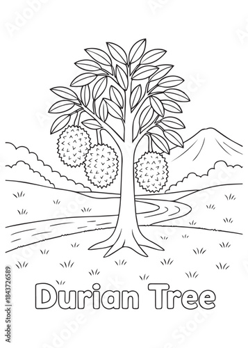coloring book Durian tree in valley with curved riverside path