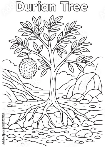 coloring book Durian tree on rocky ground with visible large roots