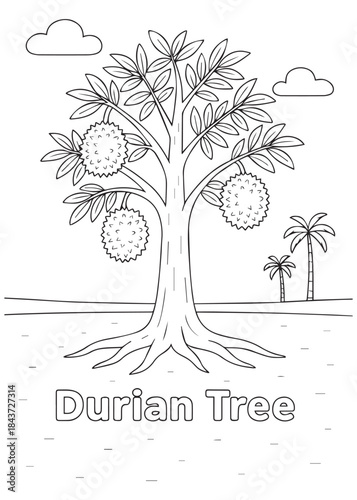 coloring book Durian tree in seaside field with palm trees