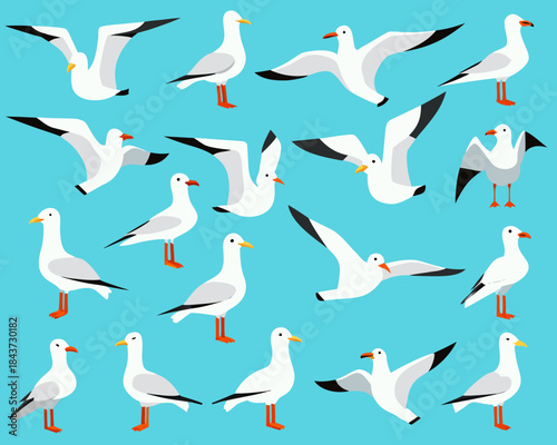 Collection of stylized seagulls in various poses against a blue background