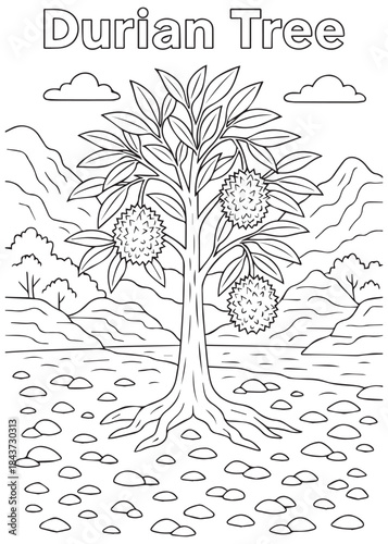 coloring book Durian tree with multiple fruits in woodland park