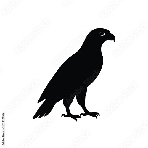 Strong hawk silhouette, powerful bird of prey, wild hunter, majestic raptor avian symbol