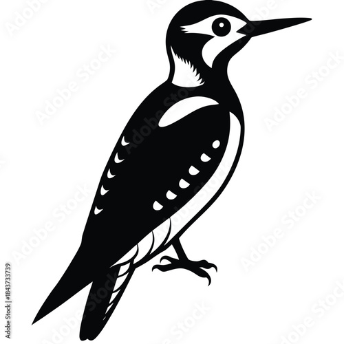 Woodpecker bird black icon vector illustration isolated on white background graphic style