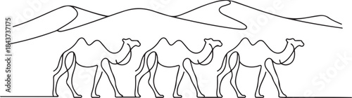 Camels in desert.one line  vector illustration  with out background