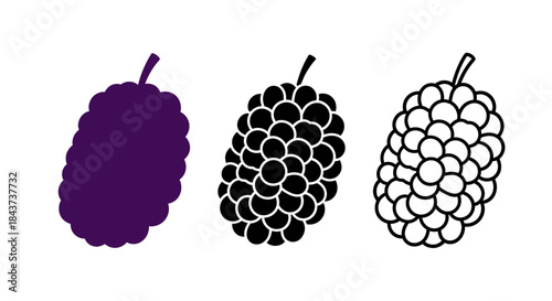 Minimalist illustration of three sets of mulberry silhouettes, Symbolizing natural minimal fruit, flat vector design illustration.