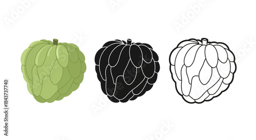 Minimalist illustration set of cherimoya silhouettes, Symbolizing soft minimal natural shape, flat vector design illustration.