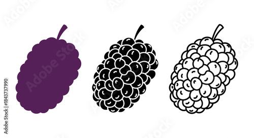 Minimalist illustration of three sets of mulberry silhouettes, Symbolizing natural minimal fruit, flat vector design illustration.