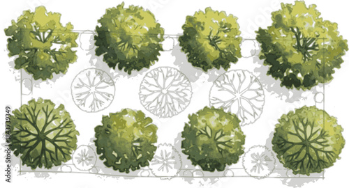 Vector view of trees in hand-drawn top view, isolated on a white background, for landscape and architectural projects, environmental and garden elements.