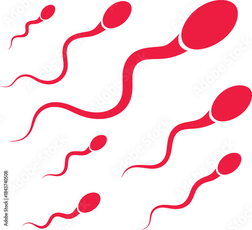 Red sperm cell vector illustration showcasing dynamic movement and anatomy for medical, fertility, and biology education use.

