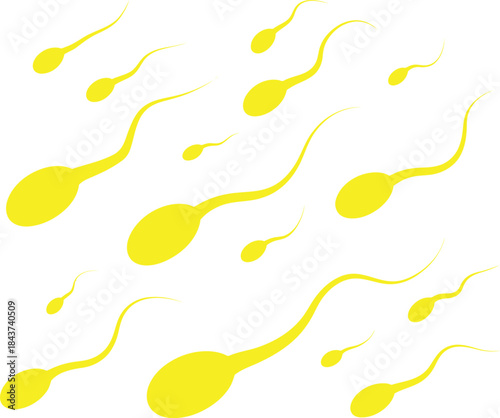Yellow sperm cell vector illustration showing dynamic movement and anatomy for biology, fertility, and medical education themes.