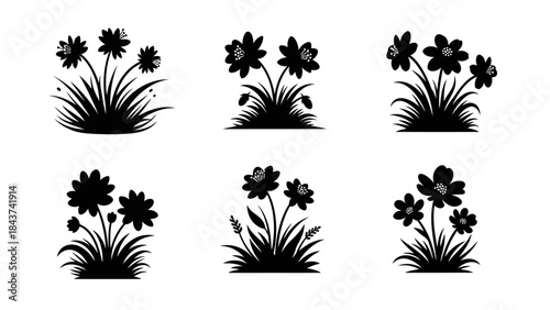 Wild meadow flowers blooming grass natural floral decoration garden plant botanical silhouette design element set black and white illustration