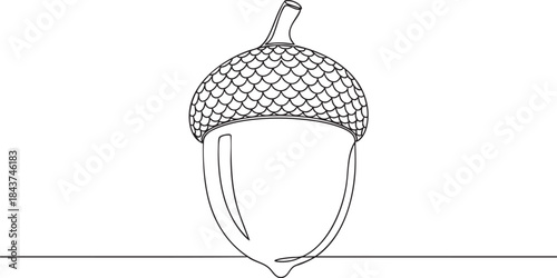 Minimalist single line drawing of an acorn on a white background