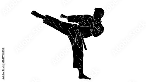 Dynamic Martial Arts Kick Demonstrating Strength and Flexibility
