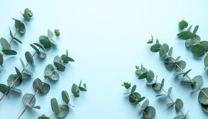 Minimalist arrangement of fresh eucalyptus branches with round leaves on a soft blue background.
