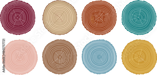 Colorful tree ring vector illustration, abstract wood cross-section design, concentric growth rings concept, editable graphic bundle, natural pattern collection set