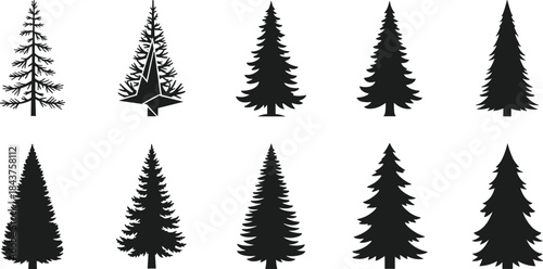 Collection of pine and fir tree silhouettes, evergreen forest conifer shapes, nature botanical black silhouette vector illustration, isolated woodland design