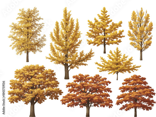 Set of autumn Quercus  and Quercus serrata trees isolated PNG on a transparent background perfectly cutout
