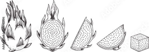Black and white line of dragon fruit cross sections and flame shapes