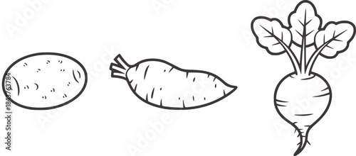 Black and white line of potato squash and radish