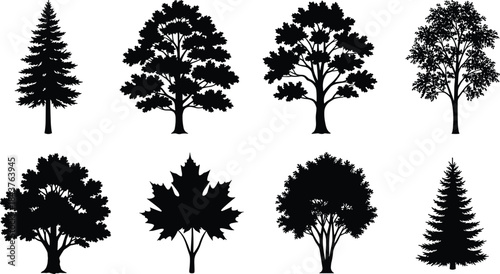 Tree silhouette collection, diverse branching patterns, maple leaf design, conifer and broadleaf shapes, abstract forest artwork, vector illustration bundle, decorative black nature graphics