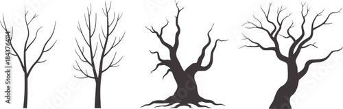 Minimalist black and white bare tree silhouettes trees