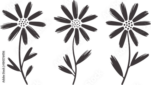 Minimalist black and white daisy flowers line daisies