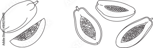 Minimalist black and white line of papaya fruit whole and sliced