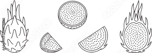 Minimalist black and white line of whole and sliced spiky fruit