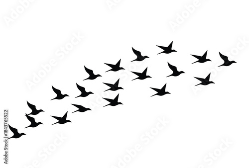 flying birds silhouettes on white background, vector illustration featuring isolated birds in flight, ideal for tattoo design, nature graphics, logos, and decorative artwork.