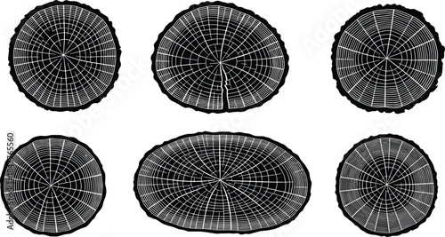Tree trunk cross section silhouettes vector illustration set, growth rings patterns, natural wood texture, botanical elements, decorative nature artwork collection for projects
