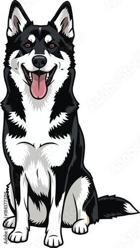 Karelian Bear Dog sitting happy panting smiling pose