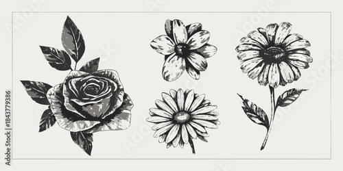 A delicate botanical illustration featuring roses daisies and other floral elements