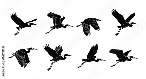 A collection of silhouettes depicting herons in various flight poses