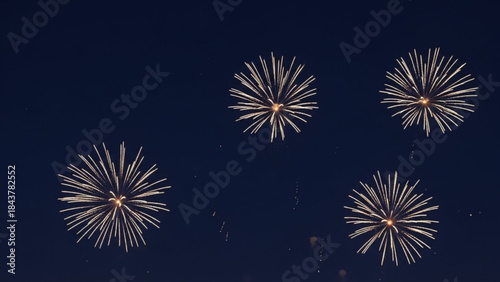 Vibrant fireworks exploding in the dark night sky with white sparks