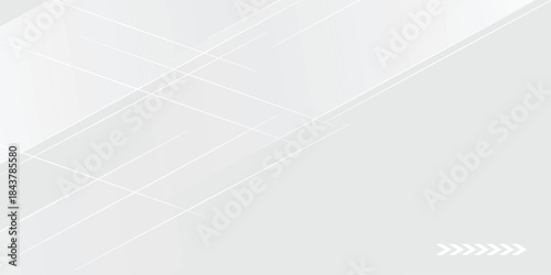 White abstract background. Silver effect texture. Light gray colour textur. Grey platinum pattern. Modern backdrop. vector