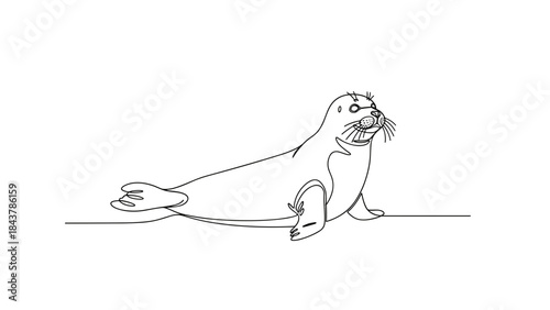 Cartoon seal lying down on a simple white background  