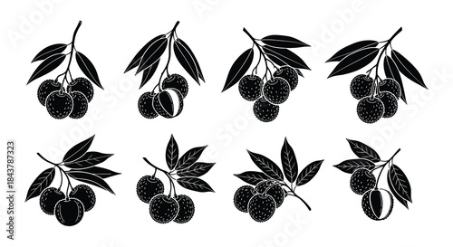 Black silhouette illustrations of java plum fruits with leaves arranged in rows