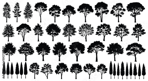 Highly Detailed Vector Collection of Diverse Tree Silhouettes, Isolated Black Forest and Park Trees, Landscape Design Elements, Nature Graphics Bundle, Variety of Species.