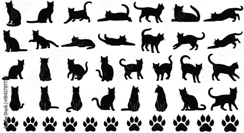 Set of black cat silhouettes in various poses, feline vector shapes and paw prints isolated on white background