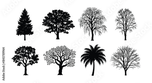 A collection of stylized black silhouette trees in varying shapes and sizes