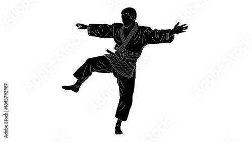 Dynamic martial arts practitioner performing high kick in training session