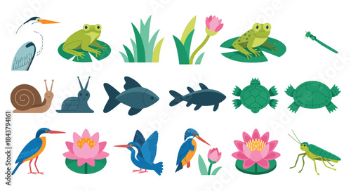 aquatic animals flat icons set featuring marine and water wildlife illustrations, designed in clean vector style, perfect for educational materials, apps, infographics, and ocean-themed design project