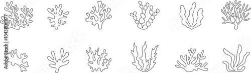 Hand drawn coral outline icon set inspired by ocean reefs. Minimal marine plant silhouettes with organic branching shapes. Perfect vector elements for sea life designs, nature themes, and underwater 