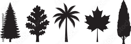 Diverse tree silhouettes collection evergreen palm maple and cypress variety for design