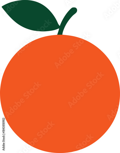 vector illustration of an orange