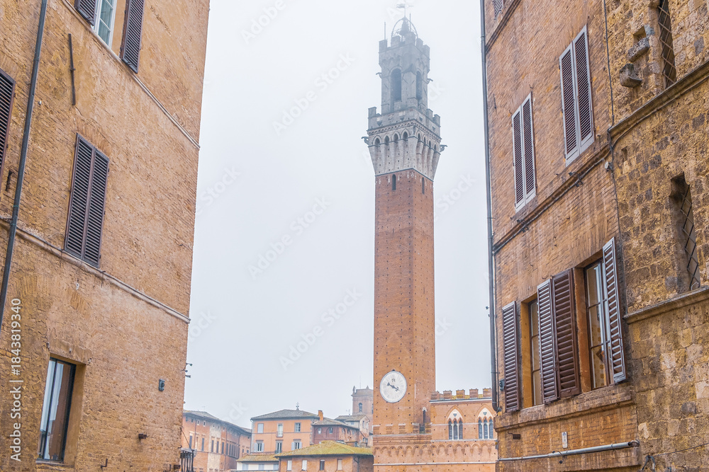 Naklejka premium Torre del Mangia View