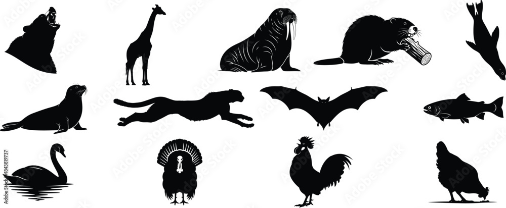 Fototapeta premium Collection of animal silhouettes featuring various species