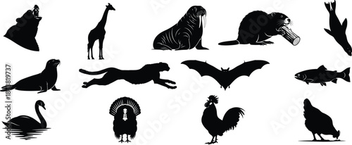 Collection of animal silhouettes featuring various species