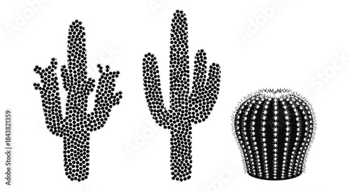 Cactus pattern set with spiky silhouettes and geometric dessins