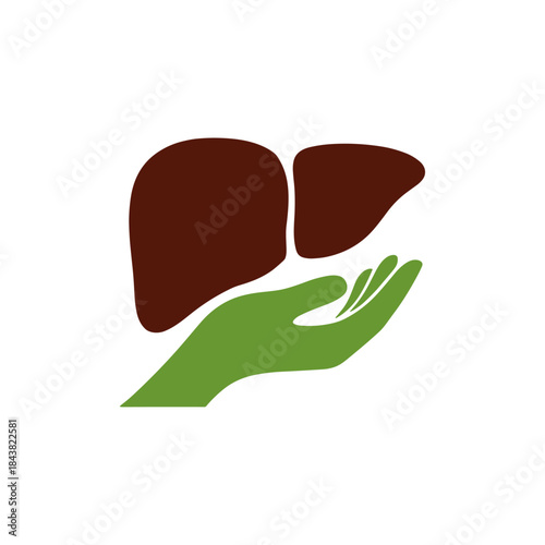 Liver care, Healthy liver, Human liver icon logo flat vector design